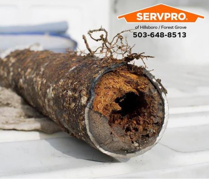 A clogged steel waste pipe reveals roots and debris, causing slow drainage. 